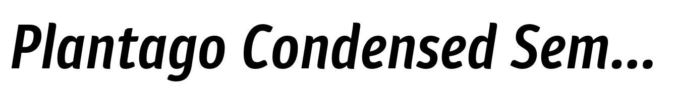 Plantago Condensed Semibold Italic